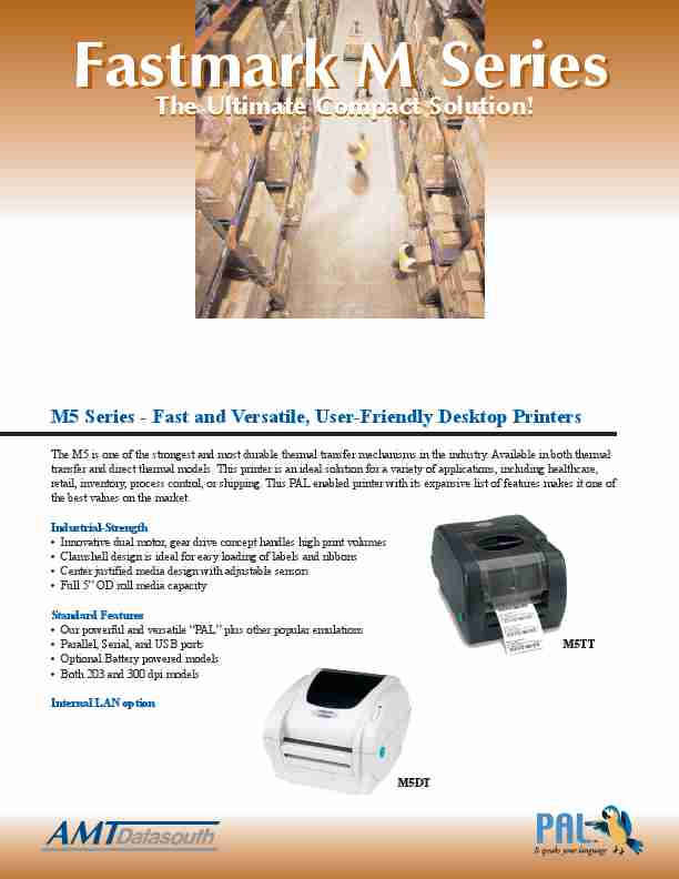AMT Datasouth Printer M5DT-page_pdf